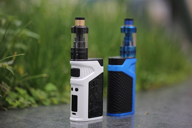 Doma mám dvě varianty elektronických cigaret.